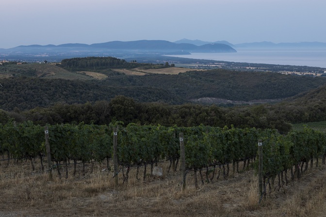 Argentiera-view1